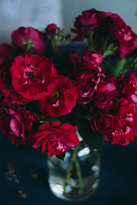 Lovely workplace with red roses thumbnail