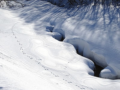 snow covered road with holse thumbnail