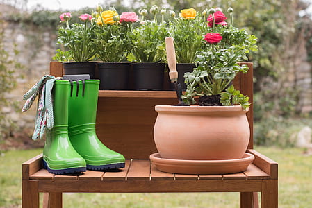 pair of green rubber galoshes beside brown clay pot thumbnail