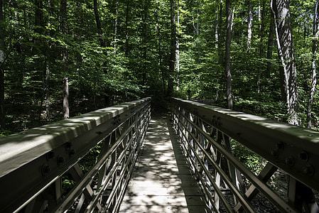 Bridge Path on the Buckeye Trail at Cayuhoga Valley National Park, Ohio thumbnail