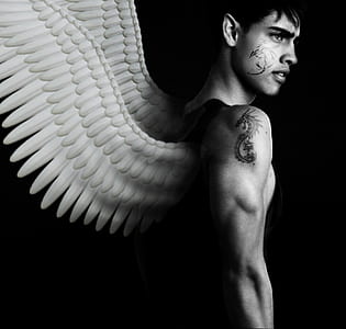 grayscale photography of man topless with wings thumbnail