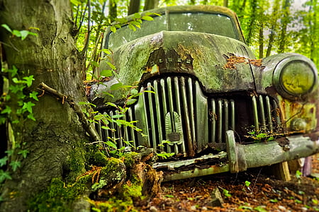 wrecked car behind tree thumbnail