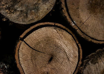 Round Brown Wooden Slab thumbnail