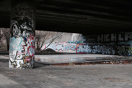 gray and multicolored graffiti wall thumbnail