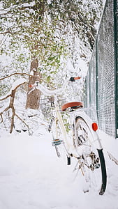 white bicycle near green metal fence and tree at snowy daytime thumbnail