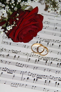 red rose flower beside pair of gold-colored wedding bands thumbnail