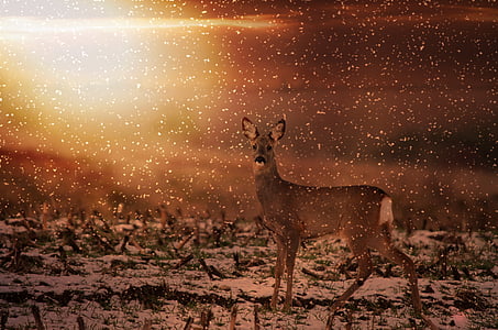 brown deer on snow covered field painting thumbnail