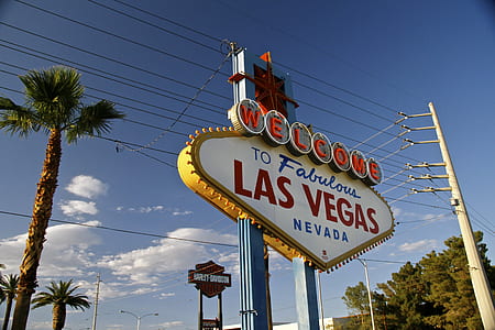 Las Vegas signage thumbnail