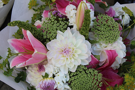 white and pink petaled flowers thumbnail