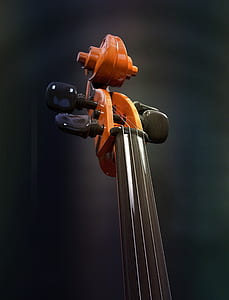 brown and black string guitar instrument thumbnail