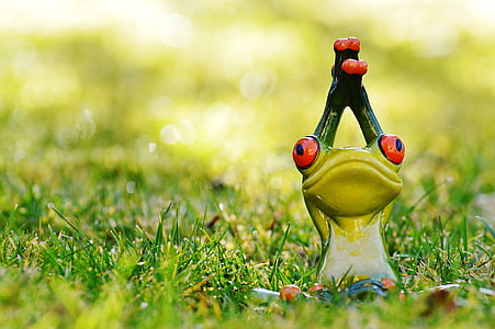 shallow focus photography of green ceramic toad figurine in grass field thumbnail