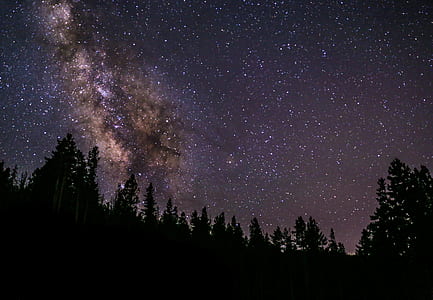 starry night wallpaper thumbnail