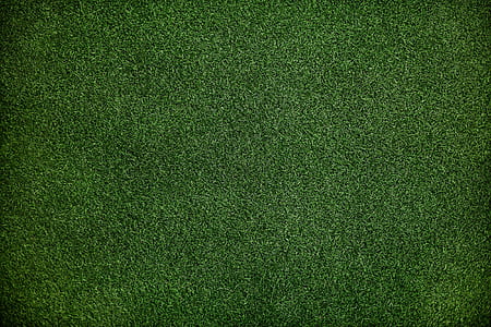 green grass thumbnail