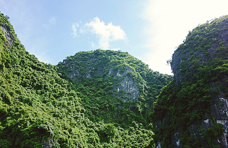 Rolling Hills thumbnail