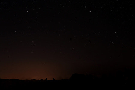 silhouette photography of forest under star starry night thumbnail