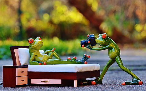 focus photography of two red-eyed frog taking picture figurines thumbnail