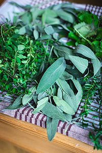 Different kinds of fresh herbs thumbnail