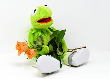 Hermit the Frog holding pink rose flowers thumbnail