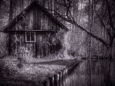 grayscale photo of wooden house near trees thumbnail
