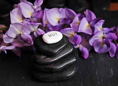 stack of black pebbles beside purple petaled flowers thumbnail