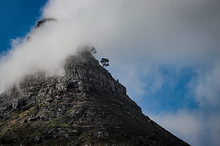 ground view photo of mountain under cloudy sky thumbnail