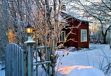 red and white house surround by bare tree thumbnail