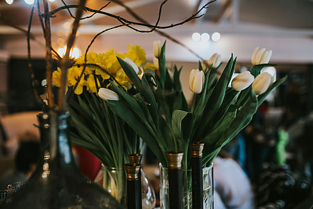 Elegant home decor thumbnail