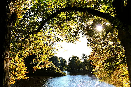 body of water surrounded green leafed trees thumbnail