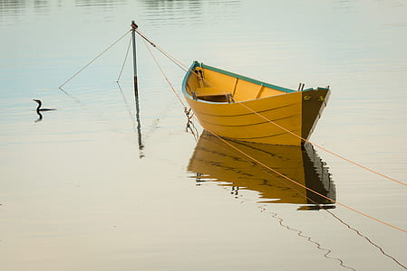 brown wooden rowboat on body of water during daytime thumbnail