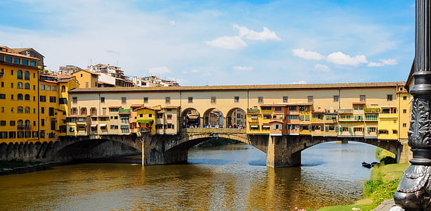 beige concrete bridge near building thumbnail