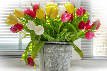 white, yellow, and pink petaled flowers thumbnail