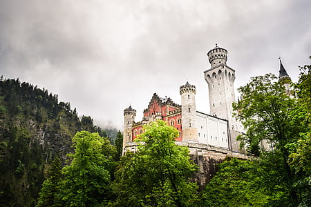 white painted castle in the middle of forest thumbnail