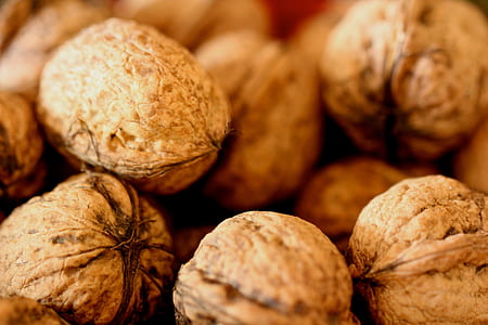 walnuts close-up photography thumbnail