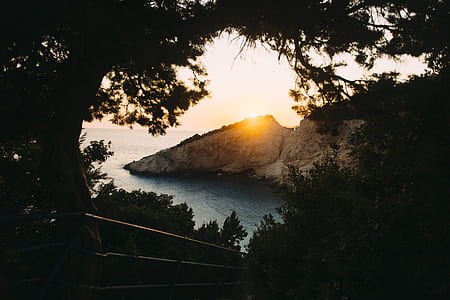 silhoutte of trees near sea thumbnail