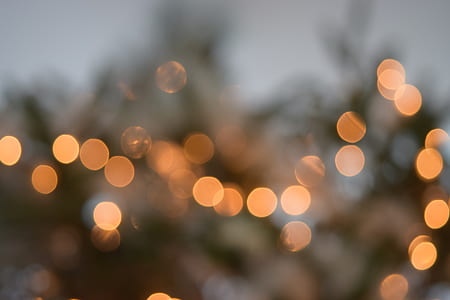 bokeh photography thumbnail