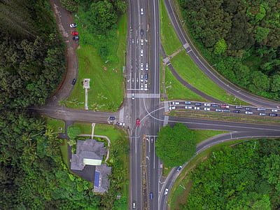 bird's-eye view photography of vehicles on road near forest thumbnail