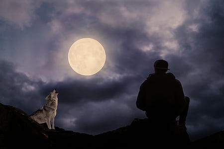 silhouette of man sitting on mountain during nighttime thumbnail