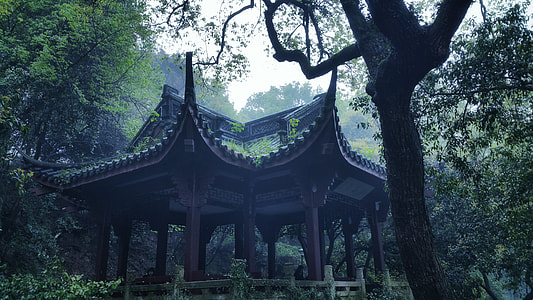 image contain Asian shed in woods thumbnail