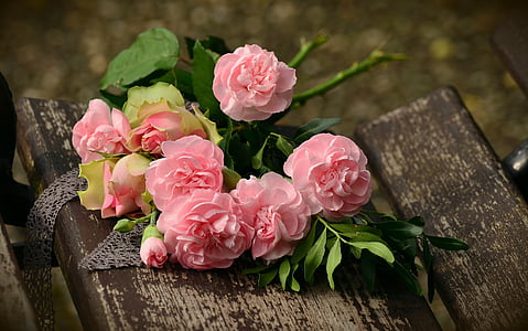 bouquet, cloves, roses, romantic thumbnail
