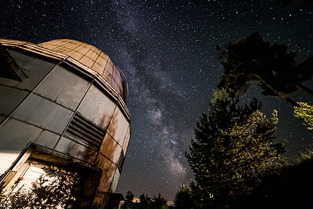 low-angle photography of gray and brown building beside trees under starry night thumbnail