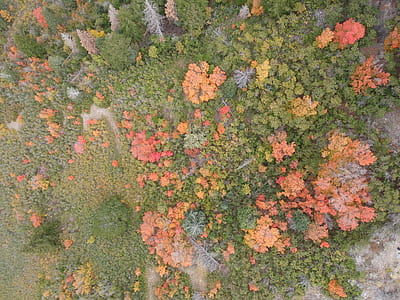 aerial photography of green field thumbnail