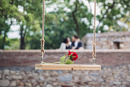 Rose Romance Photo thumbnail