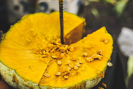 sliced squash closeup photography thumbnail