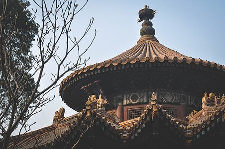 brown and black concrete temple at daytime thumbnail