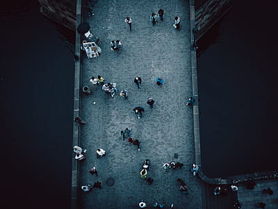 Top View Photography Of People thumbnail
