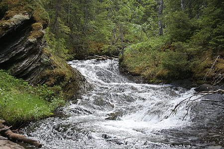 waterfalls near trees during daytime thumbnail