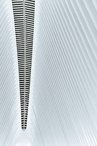 architectural photography of building thumbnail