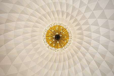 pattern, ceiling, architecture, flower thumbnail