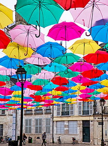 Photo of Hanging Umbrellas thumbnail