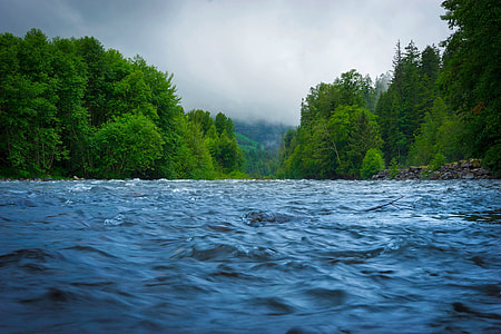 photo of body of water near green trees thumbnail